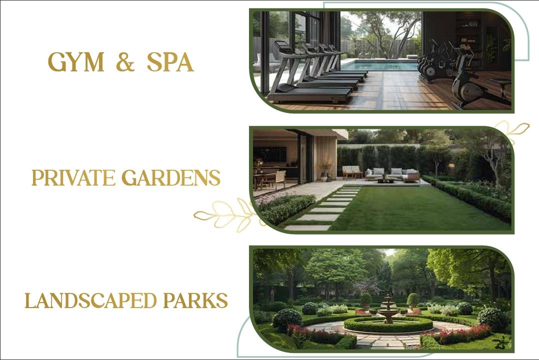 𝐀𝐌𝐈𝐑𝐀 𝐆𝐑𝐄𝐄𝐍𝐒