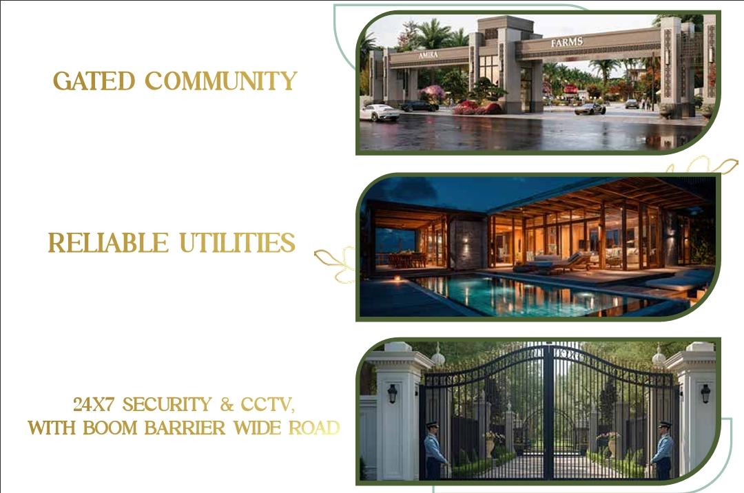 𝐀𝐌𝐈𝐑𝐀 𝐆𝐑𝐄𝐄𝐍𝐒