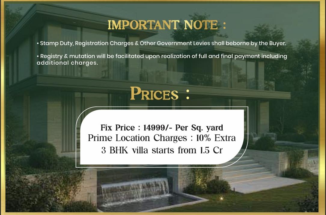 𝐀𝐌𝐈𝐑𝐀 𝐆𝐑𝐄𝐄𝐍𝐒